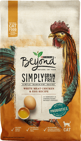 Beyond dry dog food reviews best sale
